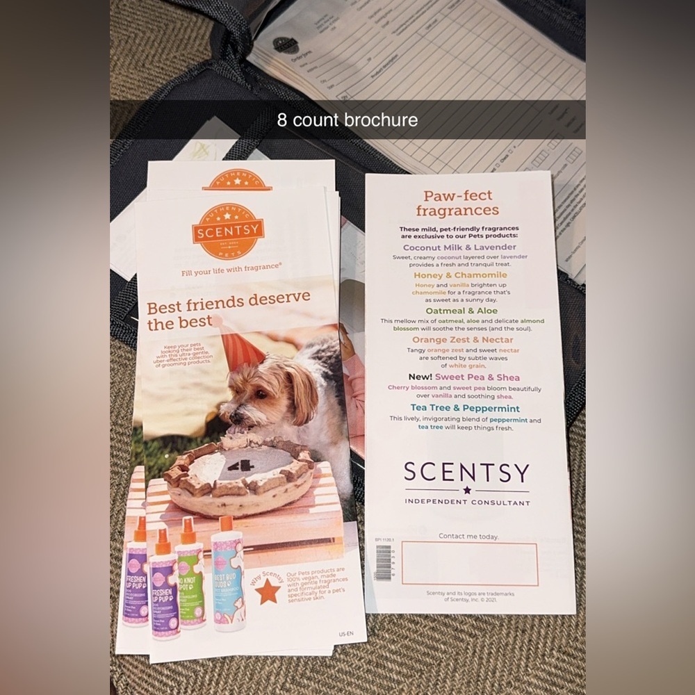 BUNDLE Scentsy Home Consultant Representative Gray Organizer Tote Bag/Brochures - Picture 6 of 8